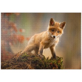 MyPuzzle A Young, Curious Fox in the Forest - Premium 1000 Piece Puzzle - MyPuzzle Special Collection by Puzzle Galaxy