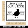 Farm Fresh Quail Eggs Hand Gathered Pasture Raised Best Before