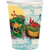 BeenSmile, Ninja Turtles Cups, Children's Cups, Children's Birthday Decoration, Party