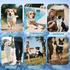Dog Cooling Bandana Collar with 5 Recyclable Ice Packs Collar