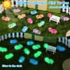 Guiqulai 60 Pcs Mini Turtles Luminous Tiny Turtle Mini Resin