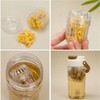 Xhziy 2PCS Flower Tea Ball Fruit Infuser Insert Transparent Tea