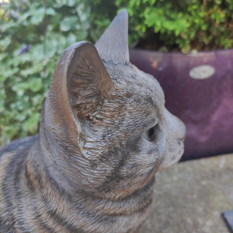 Vivid Arts Sitting Cats (Tabby Cat)