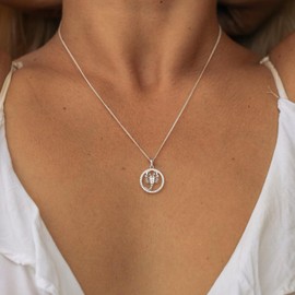 STARCHENIE Women's Constellation Jewelry Sterling Silver Zodiac Necklace Astrology Disc Horoscope Scorpio Pendant 18'' Box Chain