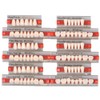 Angzhili 84 Pcs Dental Acrylic Resin Denture False Teeth 3