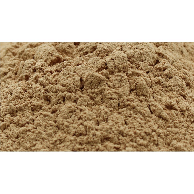 Naturejam Organic Lions Mane Mushroom Powder 1 Pound Bulk-Premium Culinary