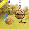 6 Pcs Bird Fat Ball Feeders Hanging Bird Feeder Metal