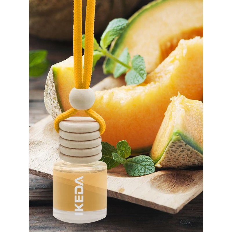 IKEDA Car Air Freshener, Multi- Scent, Hanging Bottle Design with