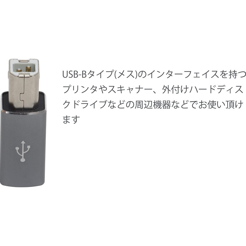 Audio Fan USB B Type Adapter USB C to USB