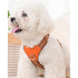 Brown xs Dog Harness for Small Dogs, No Pull Dog Harness with 2 Leash Clips, Easy Walk Dog Harness Small Sized Dog, Puppy Harness for Small Dogs, Dog Vest Harness, puppia Dog Harness (Brown, XS)