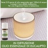 Organic Eucaliptus - 100% Organic, Pure and Natural Essential Oil