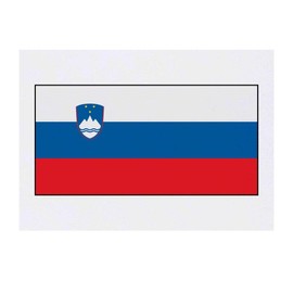 'Slovenia Flag' Temporary Tattoo - Water Resistant, Skin-Safe, Non-Toxic Transfer (TO00030731)
