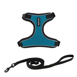 Voyager Escape Proof Cat Harness and Leash Set with Reflective Stitching, Neoprene Handle 5ft - Supports Small, Medium and Large Cats, Kittens for Walking by Best Pet Supplies - BT-Turquoise, XXXS