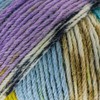 2PCs Superwash Sock Wool for Knitting, 4 Ply Sock Yarn