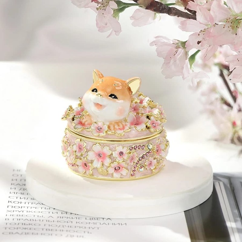 Shiba Inu Cherry Blossom Viewing