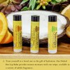 The Naked Bee Lip Balm, Orange Blossom Honey, .15 Ounce