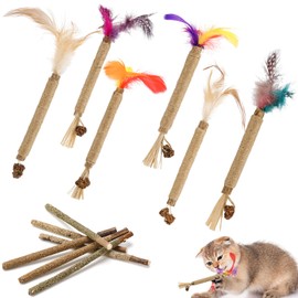 GSrenyu Silvervine Chew Sticks for Cats, Natural Cat Chew Sticks Cat Feather Kitten Teething Toys Catnip Toy for Indoor Cat Teeth Cleaning Stress Release (Standard 12Pcs, Feather & Catnip)