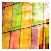 BDF CAYW Window Film Transparent Color Yellow (12" X 25ft)