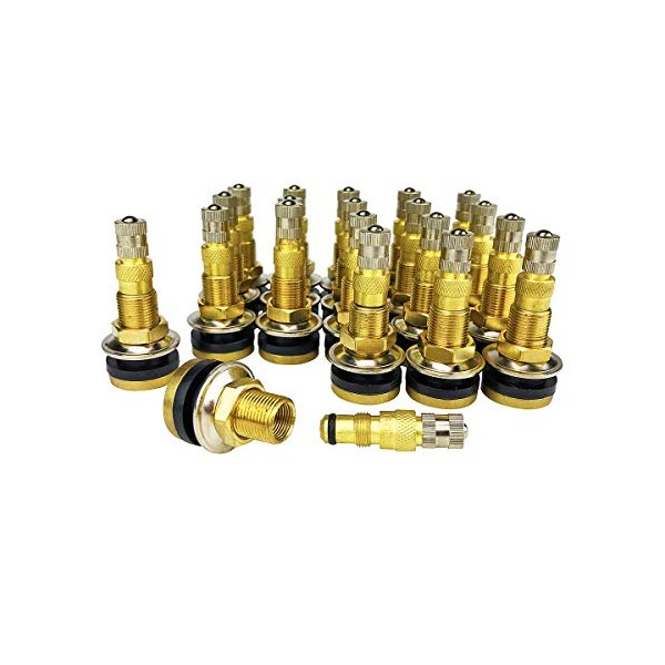 KEX Pack of 20 TR618A Air/Liquid Valve Stems for Industrial