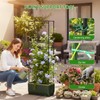 Raised Garden Bed Tomato Planter with Trellis, 52" Self Watering