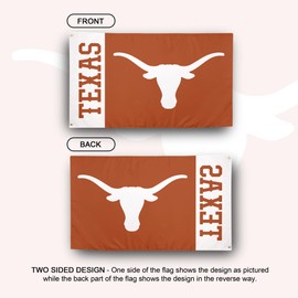 Desert Cactus University of Texas 100% Polyester Indoor Outdoor 3x5 feet Banner Longhorns UT Austin (Flag 2B)