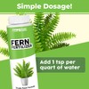 Fern Fertilizer for All Ferns and Mosses, Liquid Plant Food