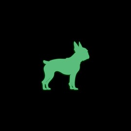 Boston Terrier Dog Silhouette Glow in The Dark Sticker Decal for Phone Tablet Laptop Car Truck Window | 4" Sticker | Green