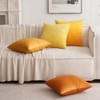 MIULEE Set of 2 Velvet Soft Solid Decorative Square Scatter
