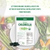 FEBICO Chlorella Tablets 500mg, 500ct, 83 Days - USDA Organic,