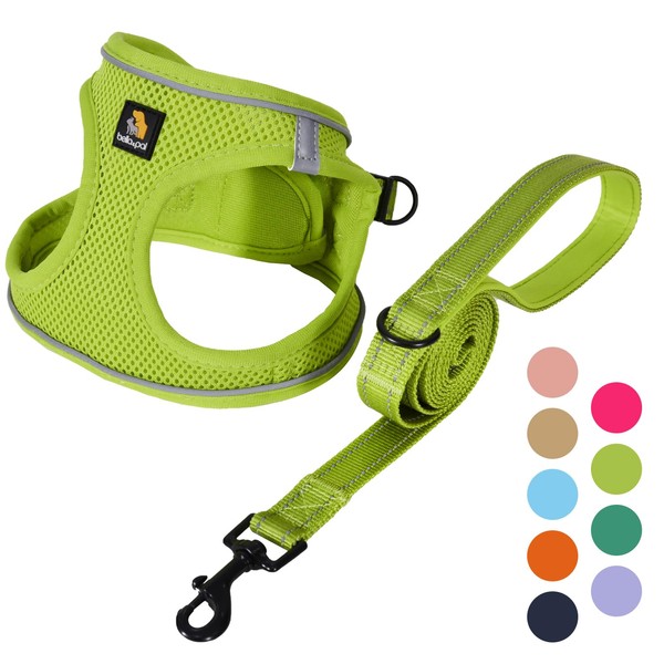 BELLA & PAL Dog Harness and Leash Set, Step-in Dog