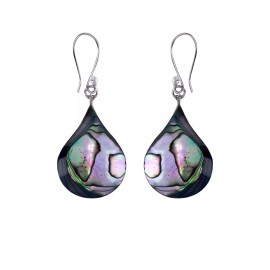 Unbranded Mesmerizing Teardrop Abalone Earrings With Fish Hook Closing
