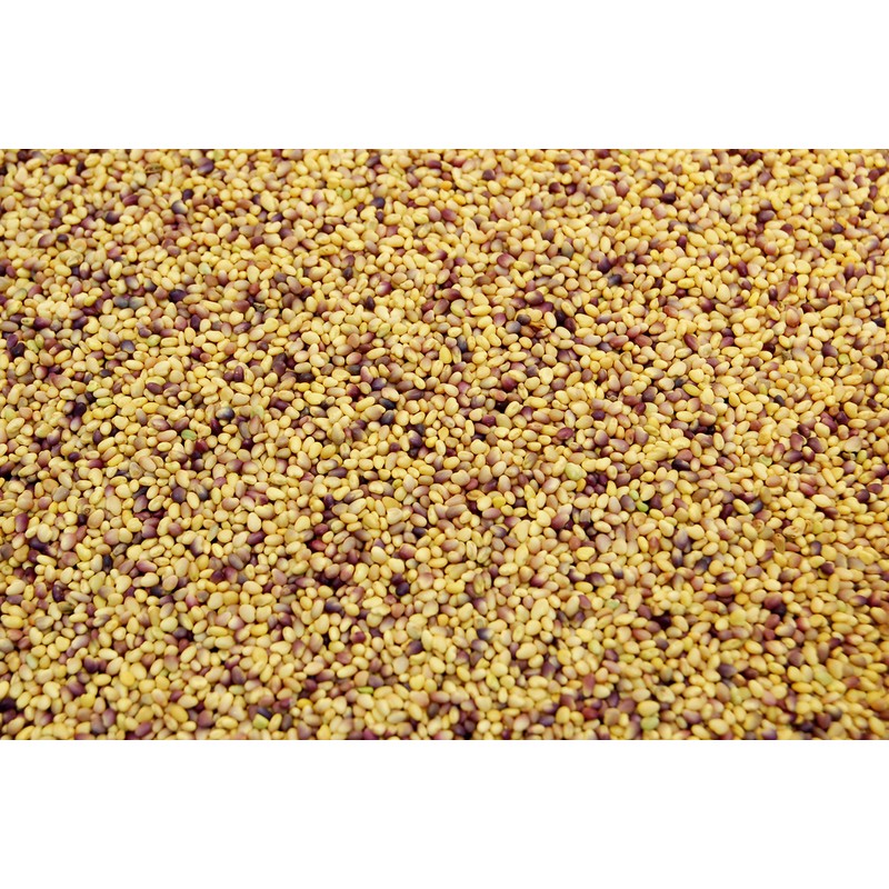 Red Clover Seed by Eretz (3lb) - Choose Size! Premium