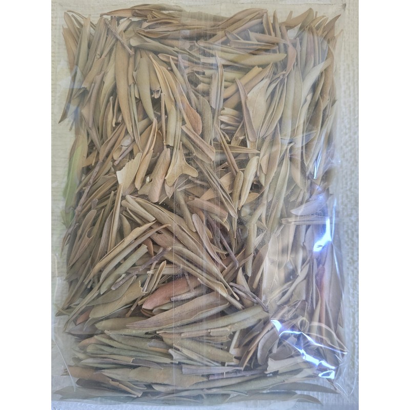 Olive leaf organic olive leaves grawn in Morocco 50g Zytoon