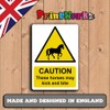 Warning Horses Lick And Bite Safety Sign Aluminium Rustproof Livery