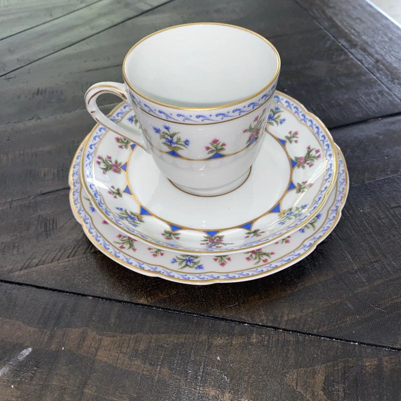 Bernardaud Limoges Chateaubriand Blue Footed Coffee Cup W/saucer And Bread