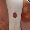 SanerLian Ladybug Temporary Tattoo Stickers Waterproof Insects Bee Cartoon Hand