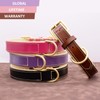HSIGIO Genuine Leather Dog Collar, Soft Padded Dog Collar Leather,