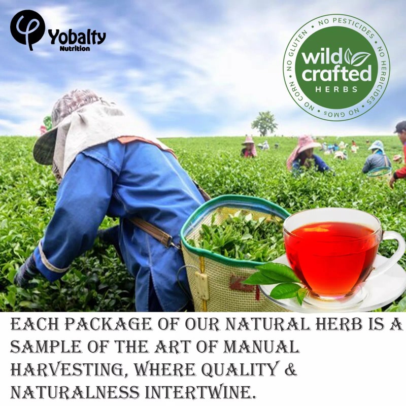 Yobalty Muicle Natural Honeysuckle Hierba tea Yobalty Herbs. Muicle Tea