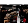 Boxing sparing punching pads and bag glove rex leather +