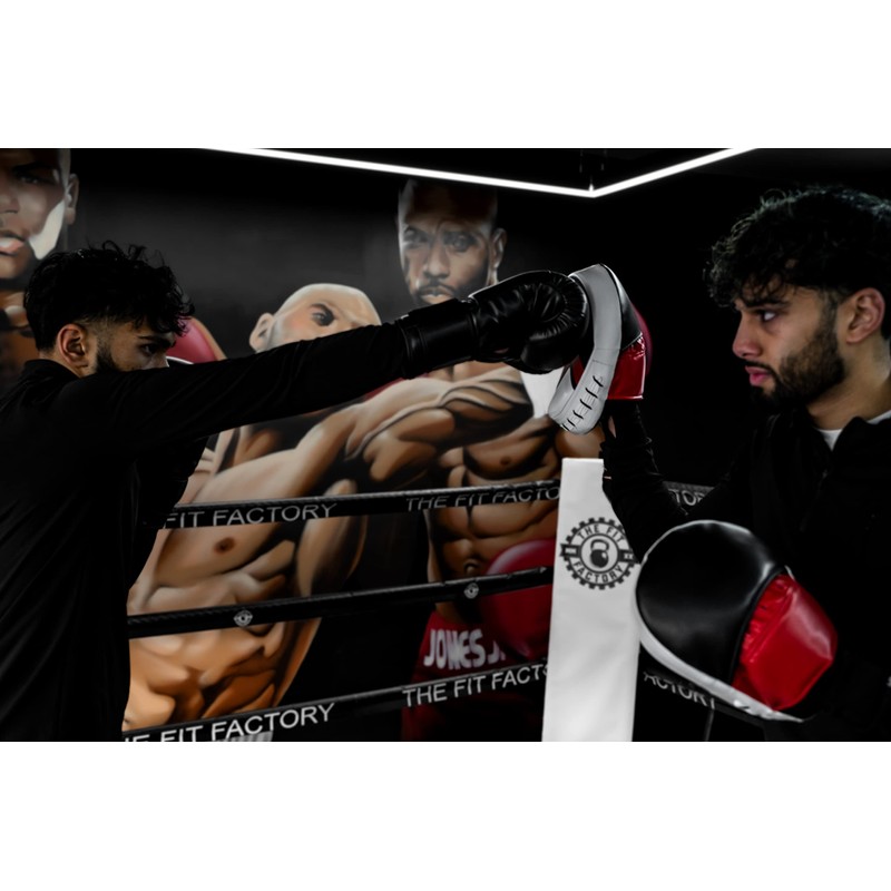 Boxing sparing punching pads and bag glove rex leather +