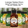 Artizen Eucalyptus Essential Oil - 30ml (100% Pure & Natural