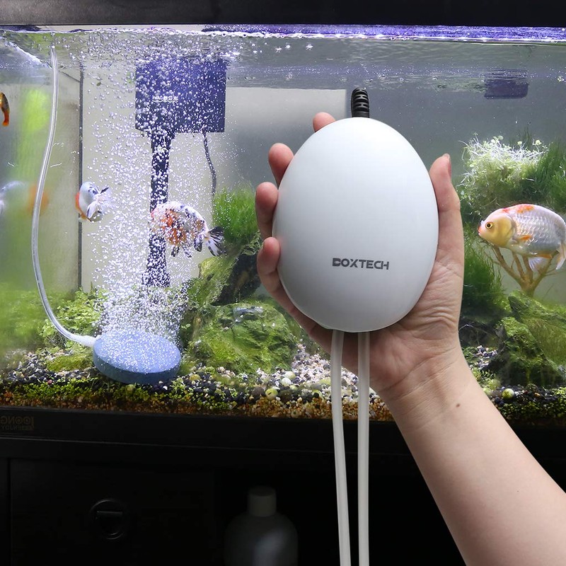 Boxtech Aquarium Air Pump,Oxygen Fish Air Pump with Adjustable Air