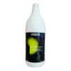 Loréal Shampoo De Inoa Post Color De 1.5 L