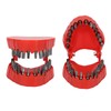 Denture Drill Bit Holder Teeth Model Shaped Full Opening Screwdriver