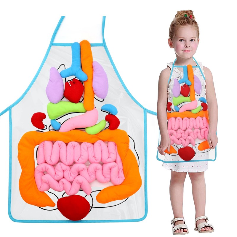KAKIBLIN 3D Organ Apron,(Upgrade Version) Anatomy Apron Human Body Organs