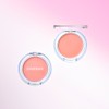 Giverny Dewy Gel Glow Cream Blusher 2.7g/3g / 지베르니 듀이