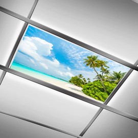 DIQISHIZHU Fluorescent Light Covers for Classroom Office - 2ft x 4ft LED Light Filters, Eliminate Harsh Glare & Eyestrain, Decorative Classroom Light Covers, Light Diffuser Panel.Tree by The sea