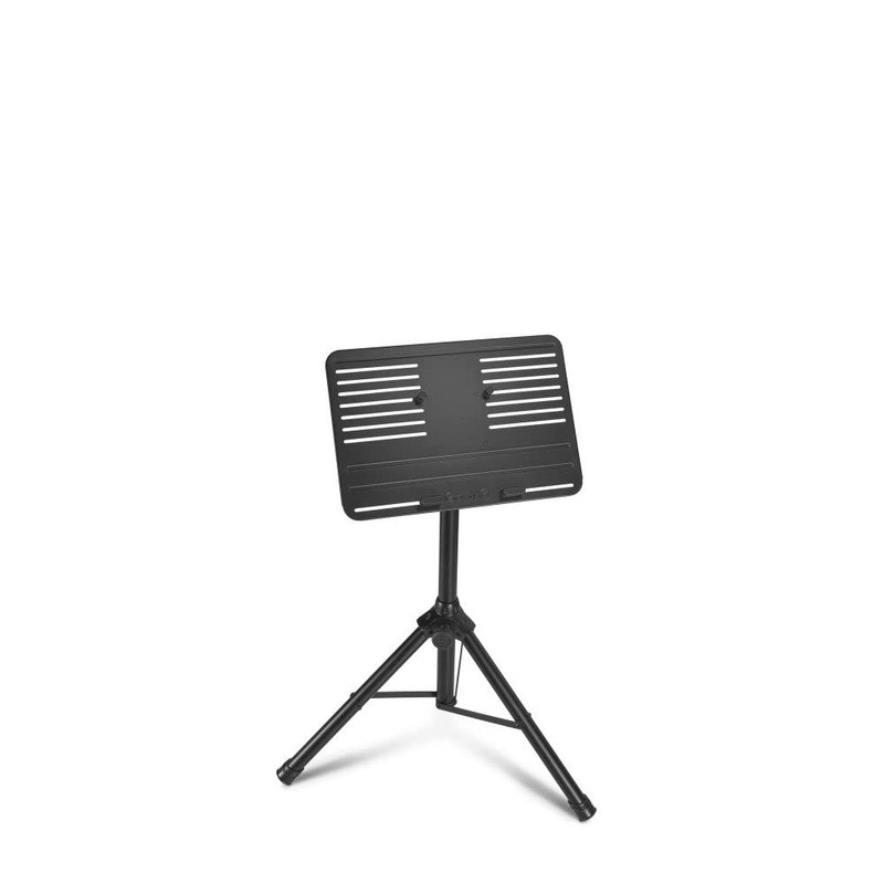 GRAVITY STANDS Laptop Stand with Adjustable Holding Pins (LTS T