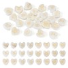 PandaHall 24 Pieces 12 Constellations Shell Beads Heart Natural Shell
