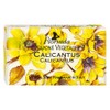 Florinda Magic of Flowers Calicantus Vegetal Soap Bar 100 G